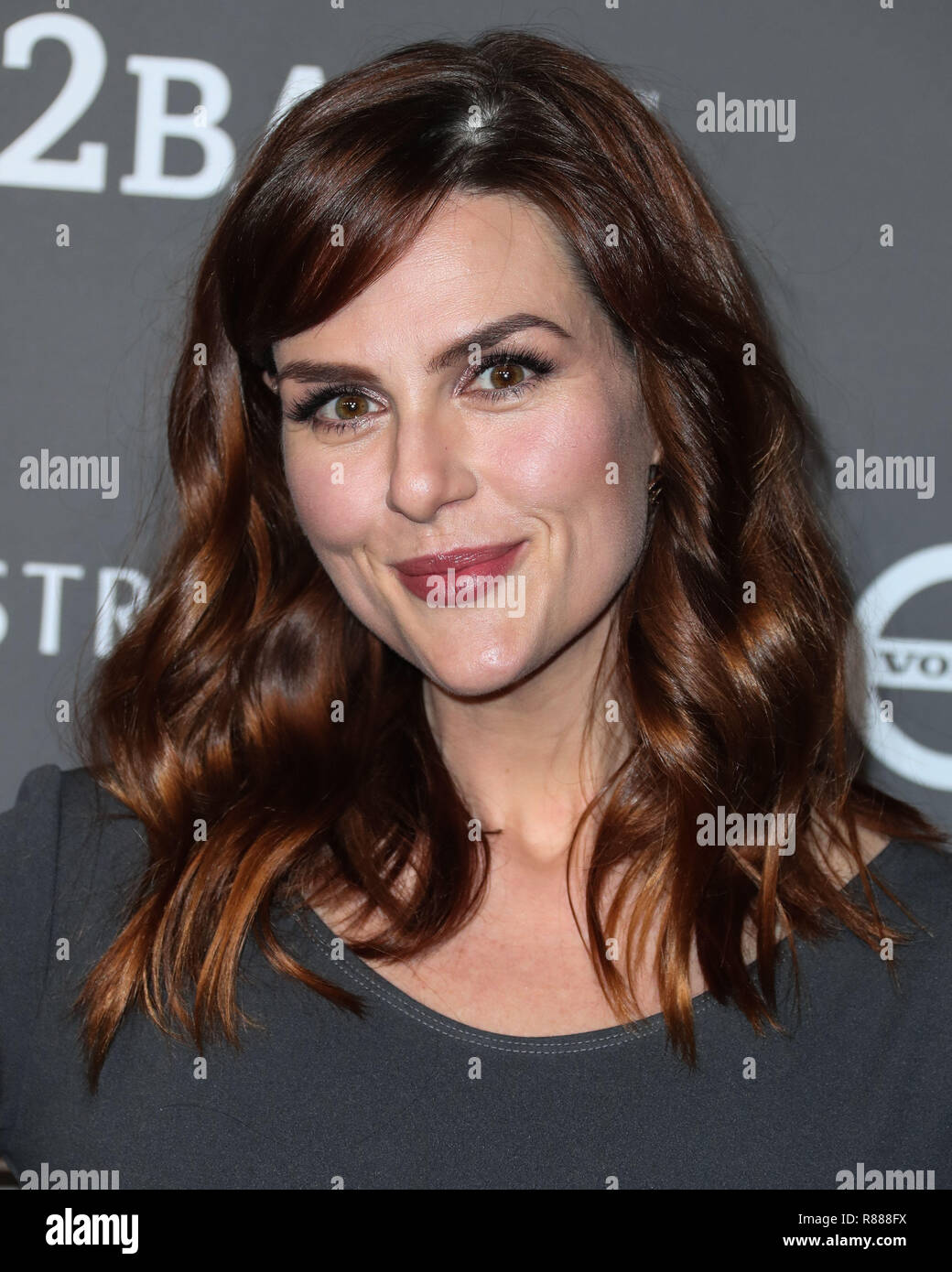 CULVER CITY, LOS ANGELES, CA, USA - NOVEMBER 10: Sara Rue at the 2018