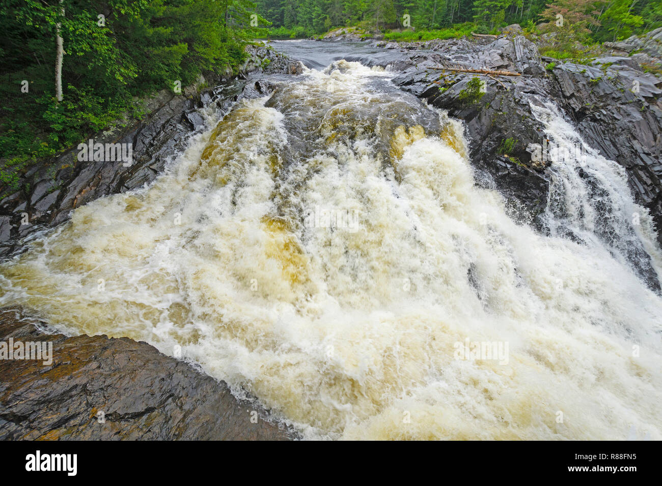 Roaring falls in the Wilderness of the Aux Sables River in Chutes