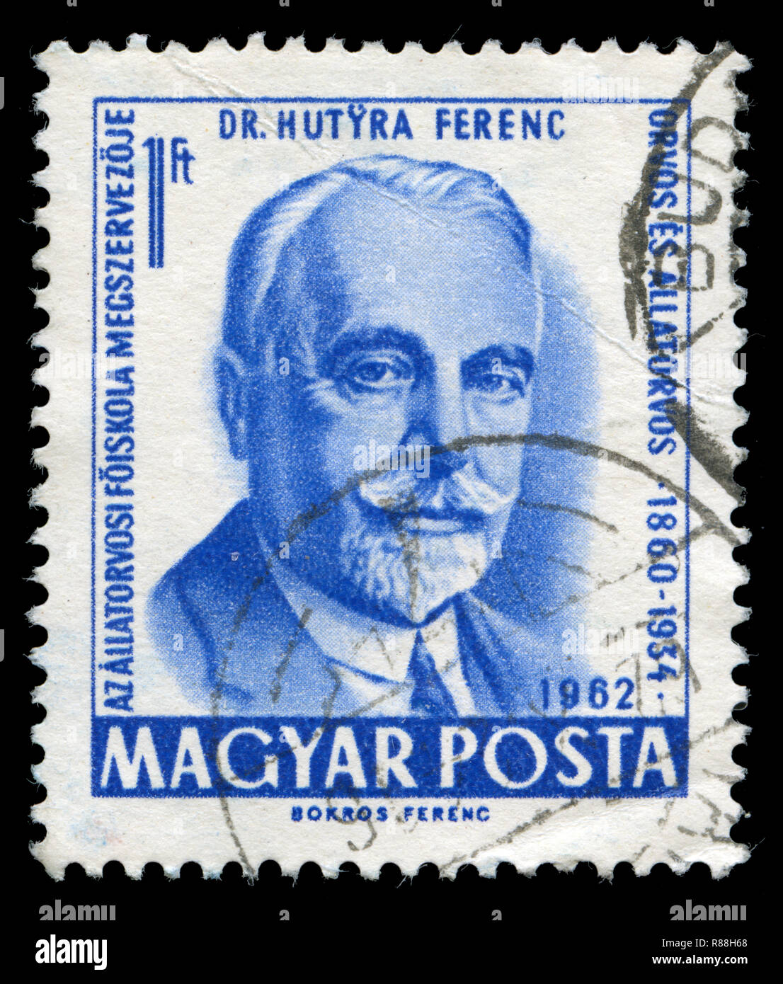 Postage stamp from Hungary in the 175 Years Veterinary Education series issued in 1963 Stock Photo