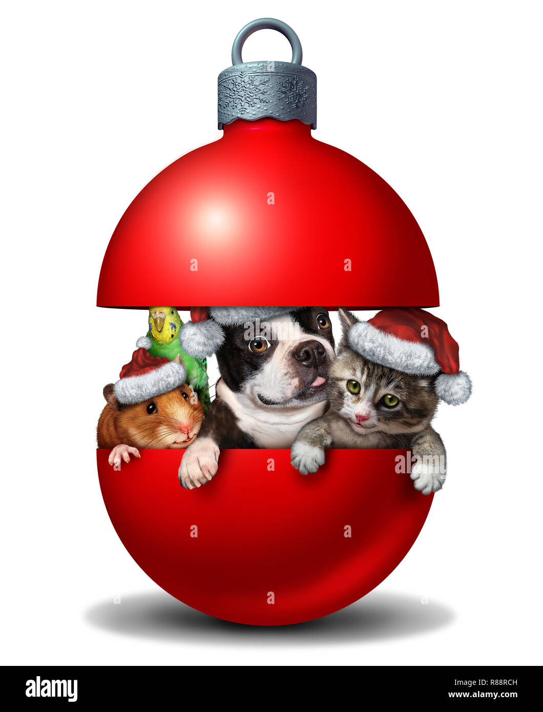 Funny pet decoration holiday christmas ball with a dog cat budgie and hamster wearing winter hats as a symbol of veterinary medicine and pet store or  Stock Photo