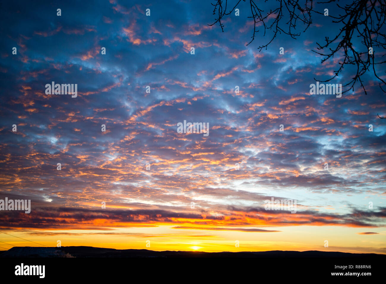 tragic sky, yellow-pink clouds, sunrise, bright colorstree branches Stock Photo