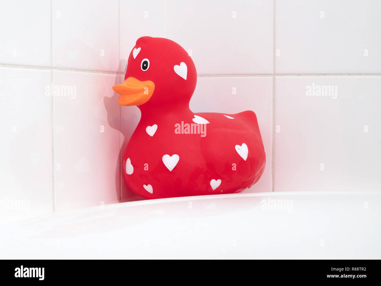 Rubber duck cheap in tub