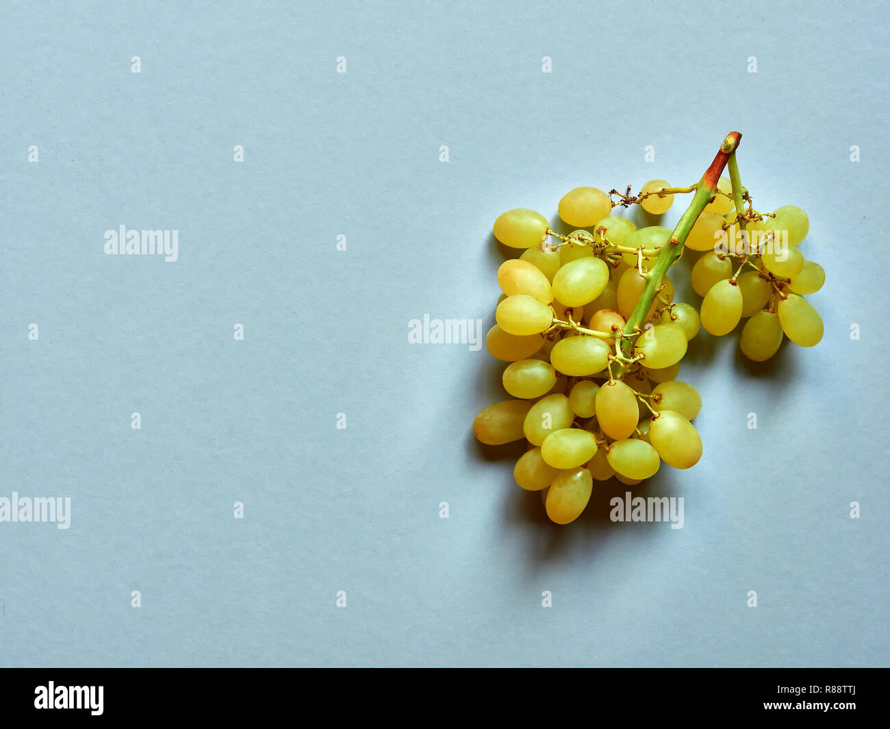 Above view of isolated set of a bunch of sweet seedless grapes in studio with blue background Stock Photo