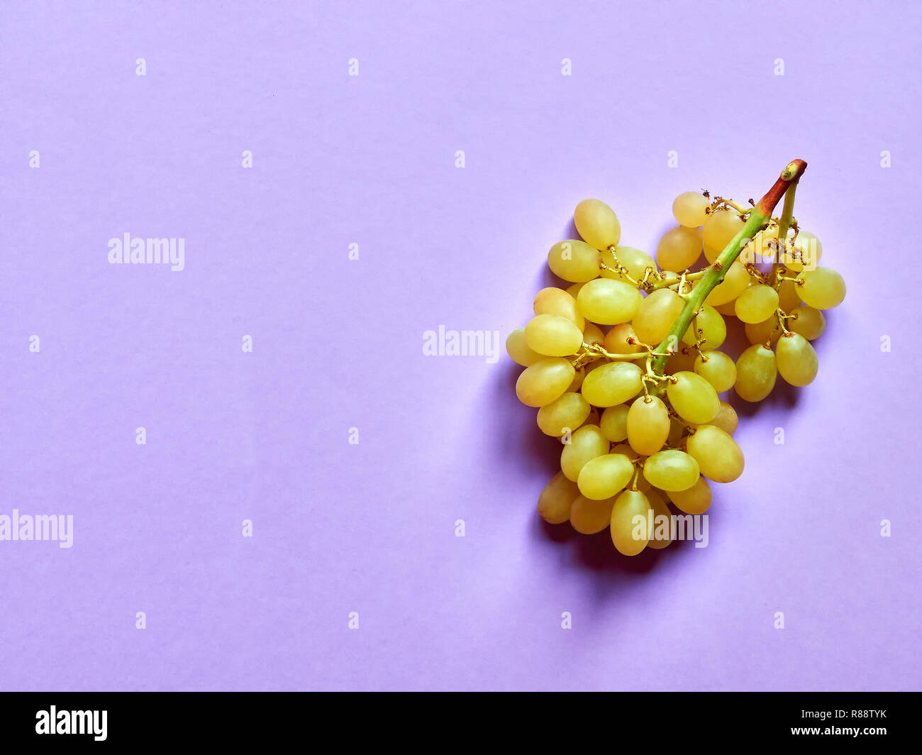 Above view of isolated set of a bunch of sweet seedless grapes in studio with pastel violet background Stock Photo