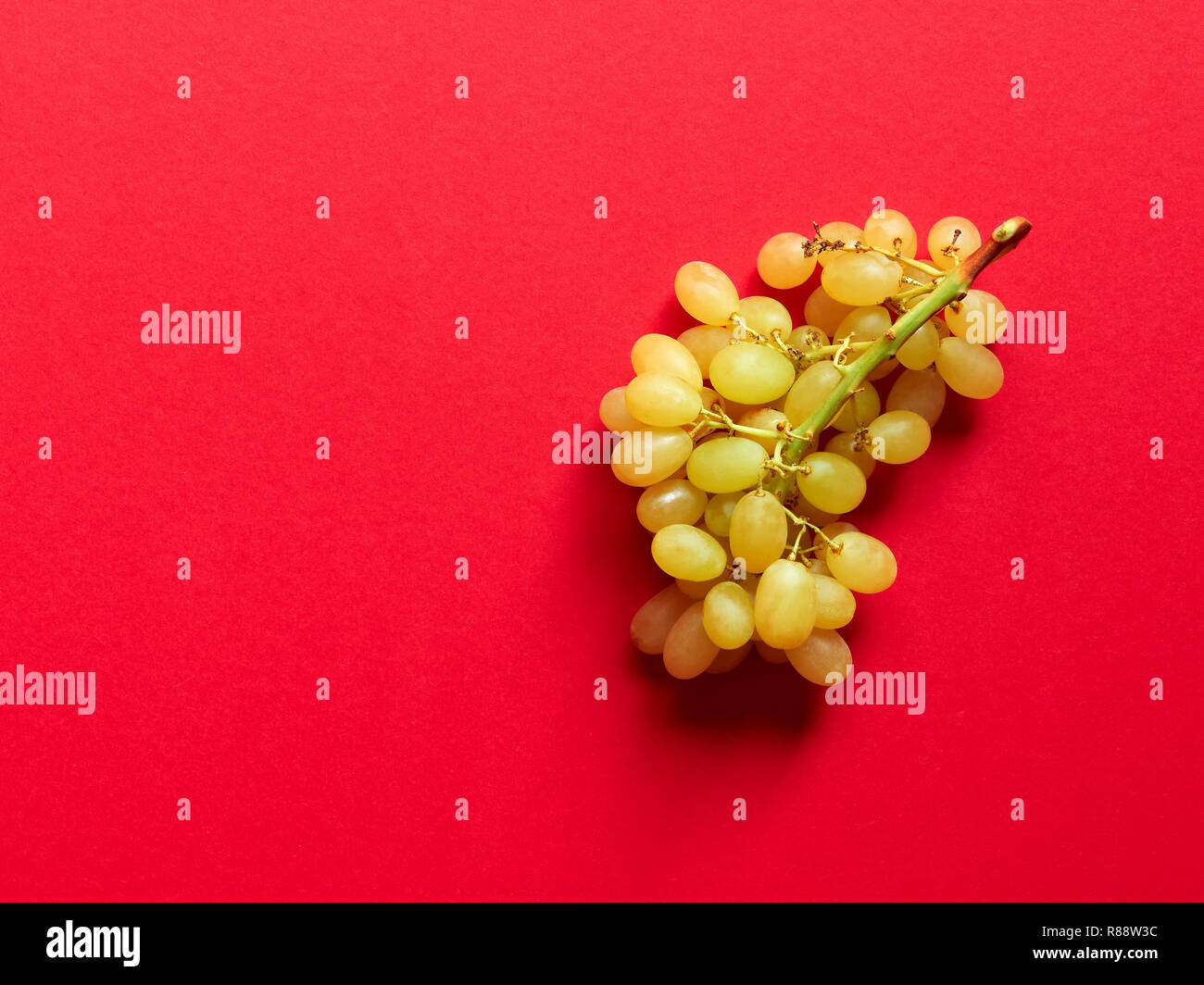 Above view of isolated set of a bunch of sweet seedless grapes in studio with red background Stock Photo