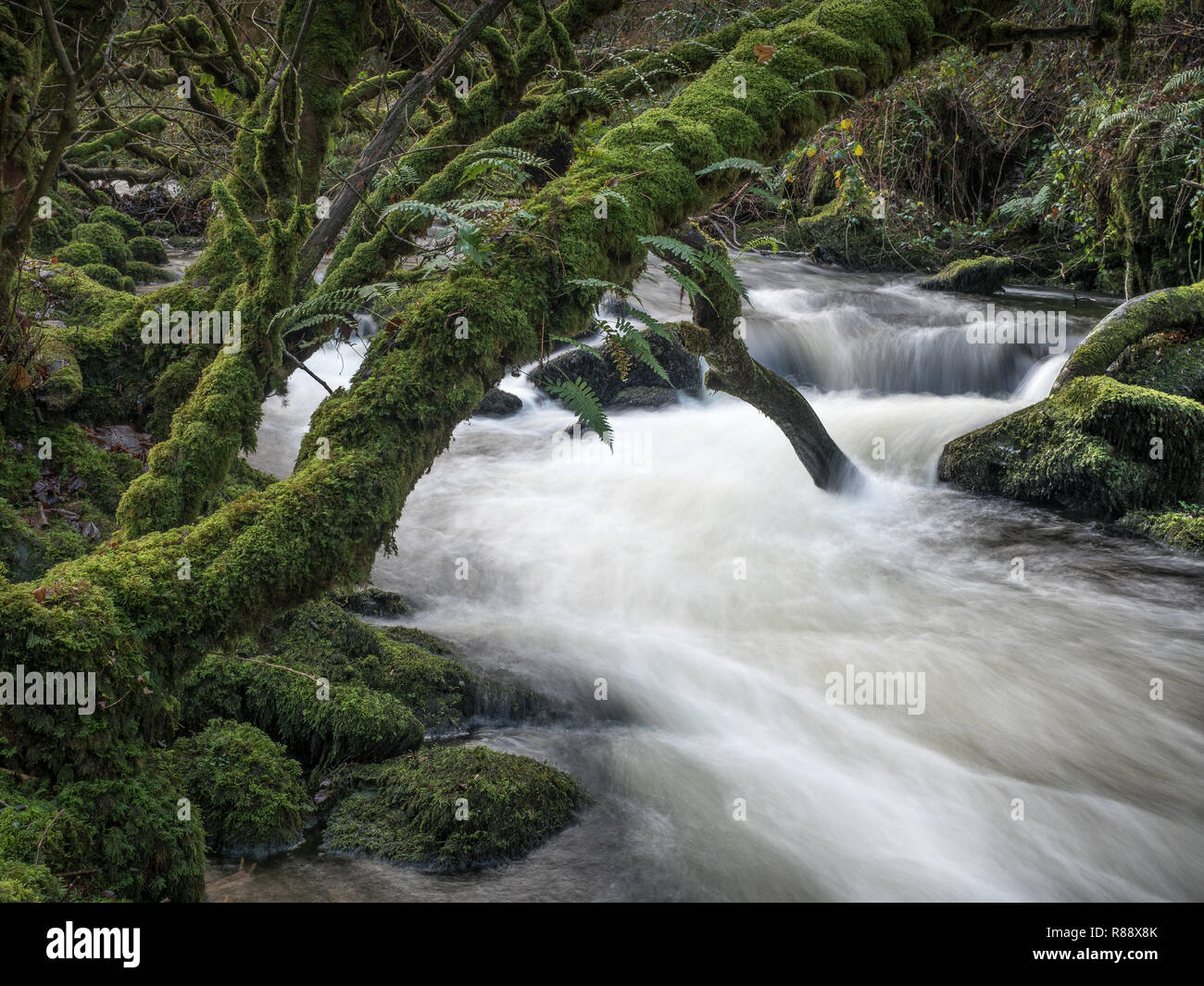 Afon brynberian river hires stock photography and images Alamy