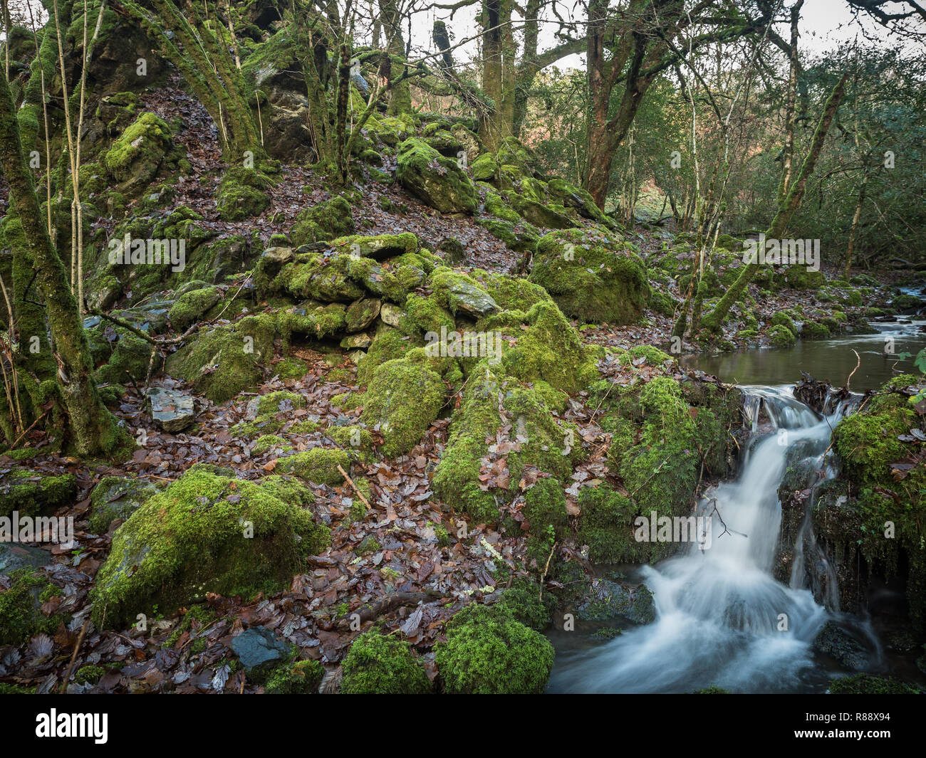 Afon brynberian river hires stock photography and images Alamy