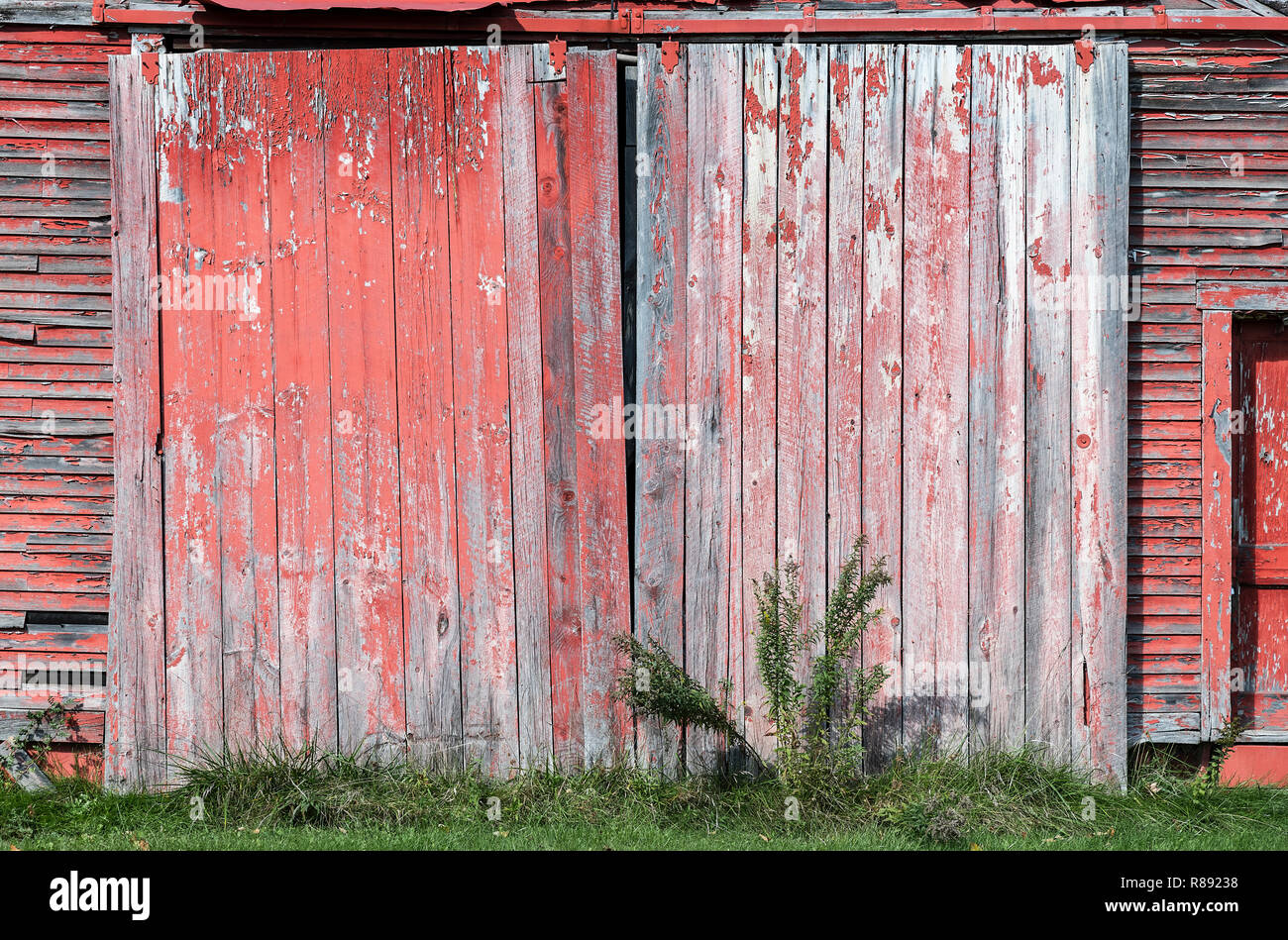 Old barn door. Stock Photo