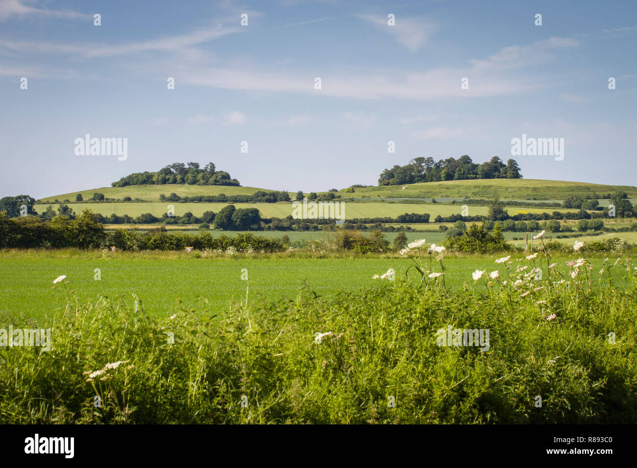 Wittenham Clumps, Oxfordshire, from the West with Round hill to the left and Castle Hill to the right Stock Photo