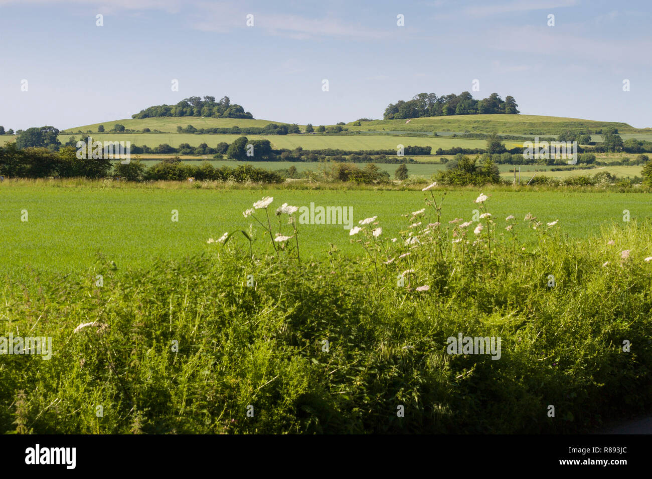 Wittenham Clumps, Oxfordshire, from the West with Round hill to the left and Castle Hill to the right Stock Photo