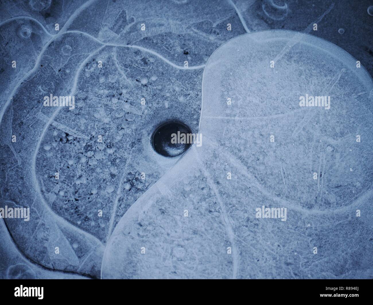 Nice ice hole in lake ice, natural art. Amazing shapes from air bubbles ...