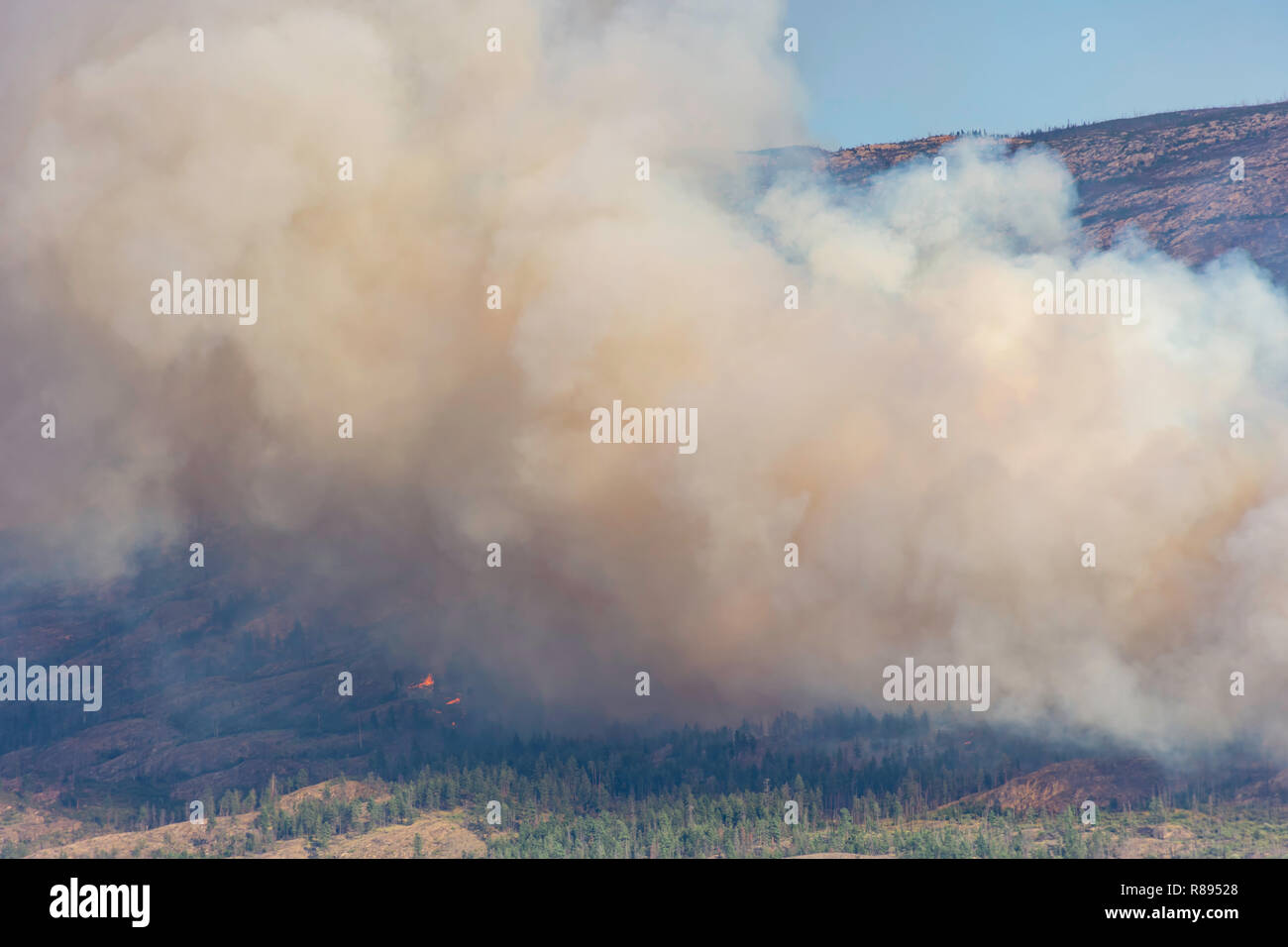 Smoke from a forest fire near Pearchland British Columbia Canada Stock Photo