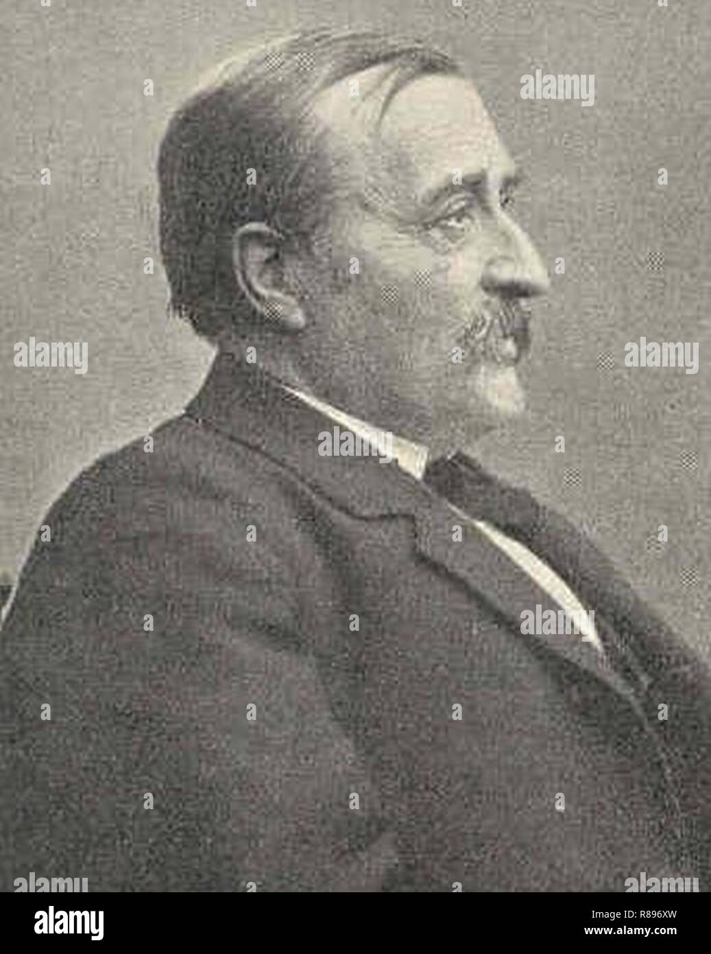 Carl Gustaf Estlander (18341910) finländsk humanist Stock Photo Alamy