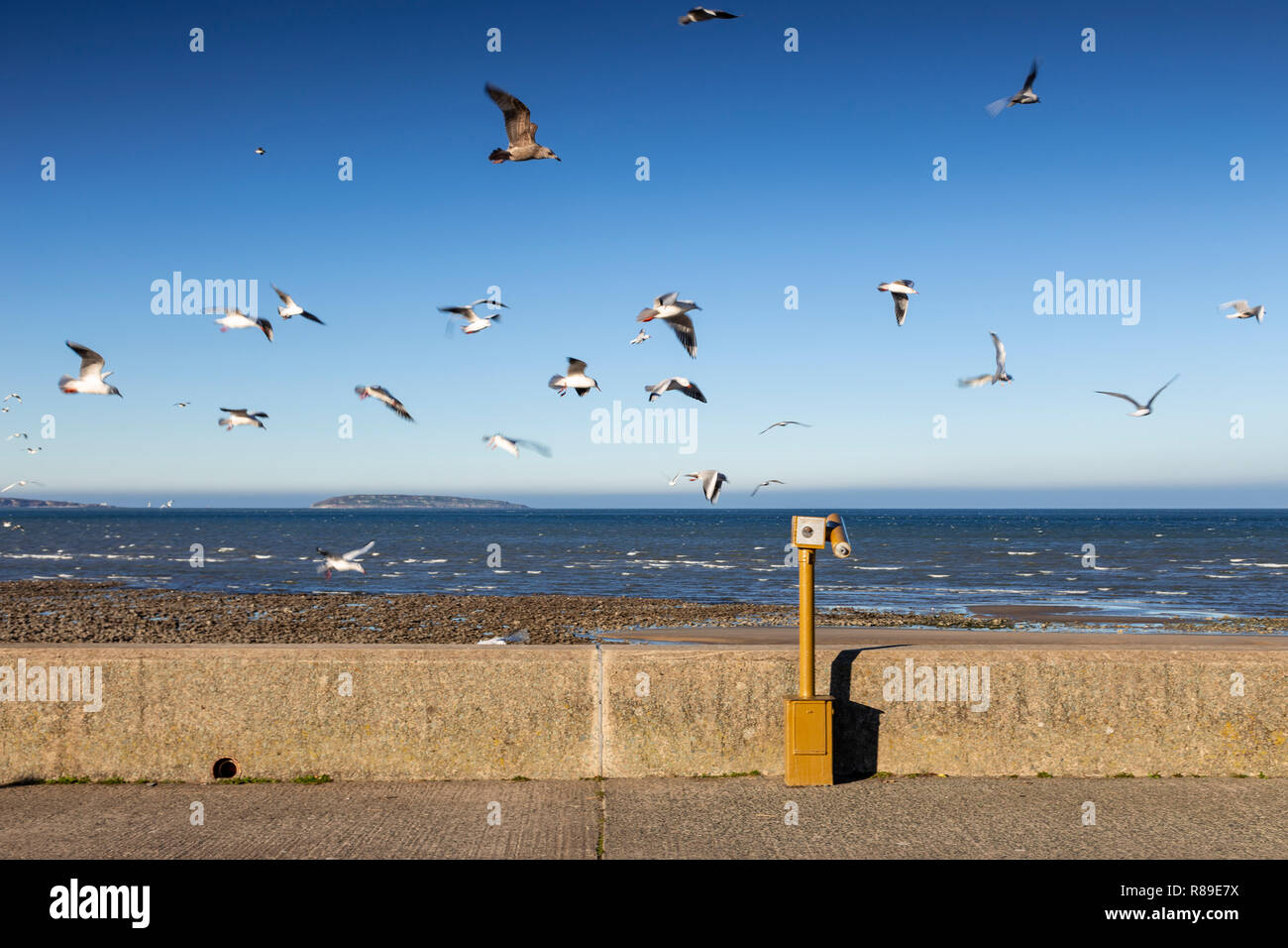 Seagulls flying over the promenade at Llanfairfechan, North Wales coast Stock Photo