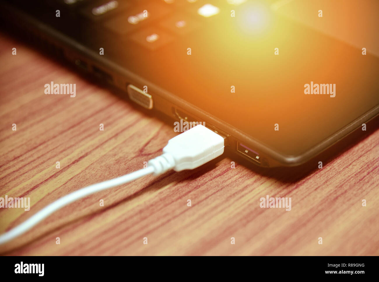 usb cable in notebook device / white electronics cable in usb port on computer accessories Stock Photo