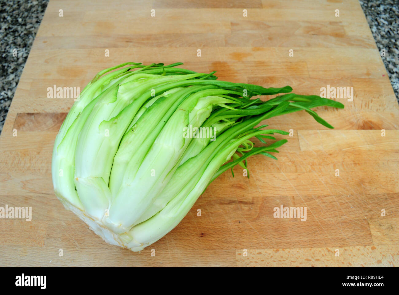 head of puntarelle on wooden cutting board in the kitchen, taken from above Stock Photo