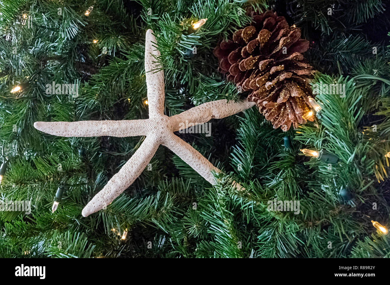 Starfish Christmas decoration Stock Photo - Alamy