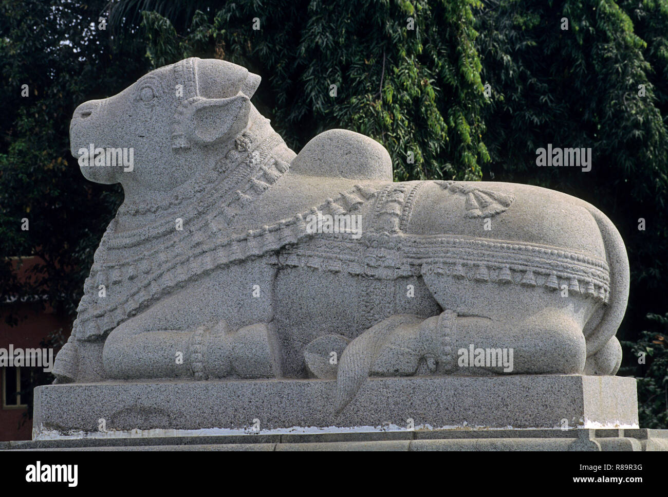 statue of nandi, india Stock Photo Alamy