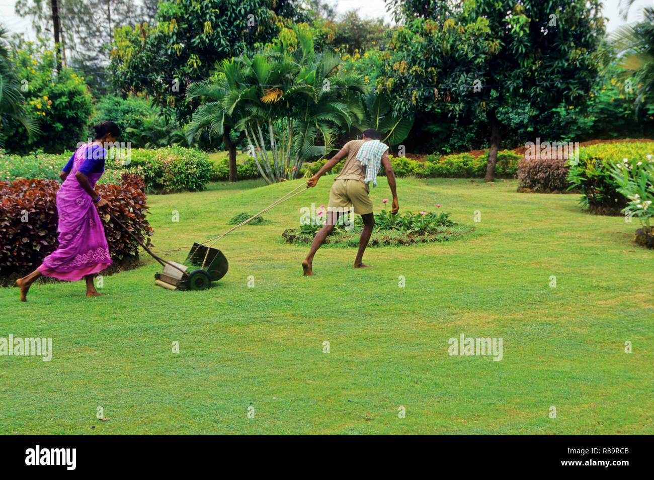 Green grass lawn being mowed manually by man and women Stock Photo