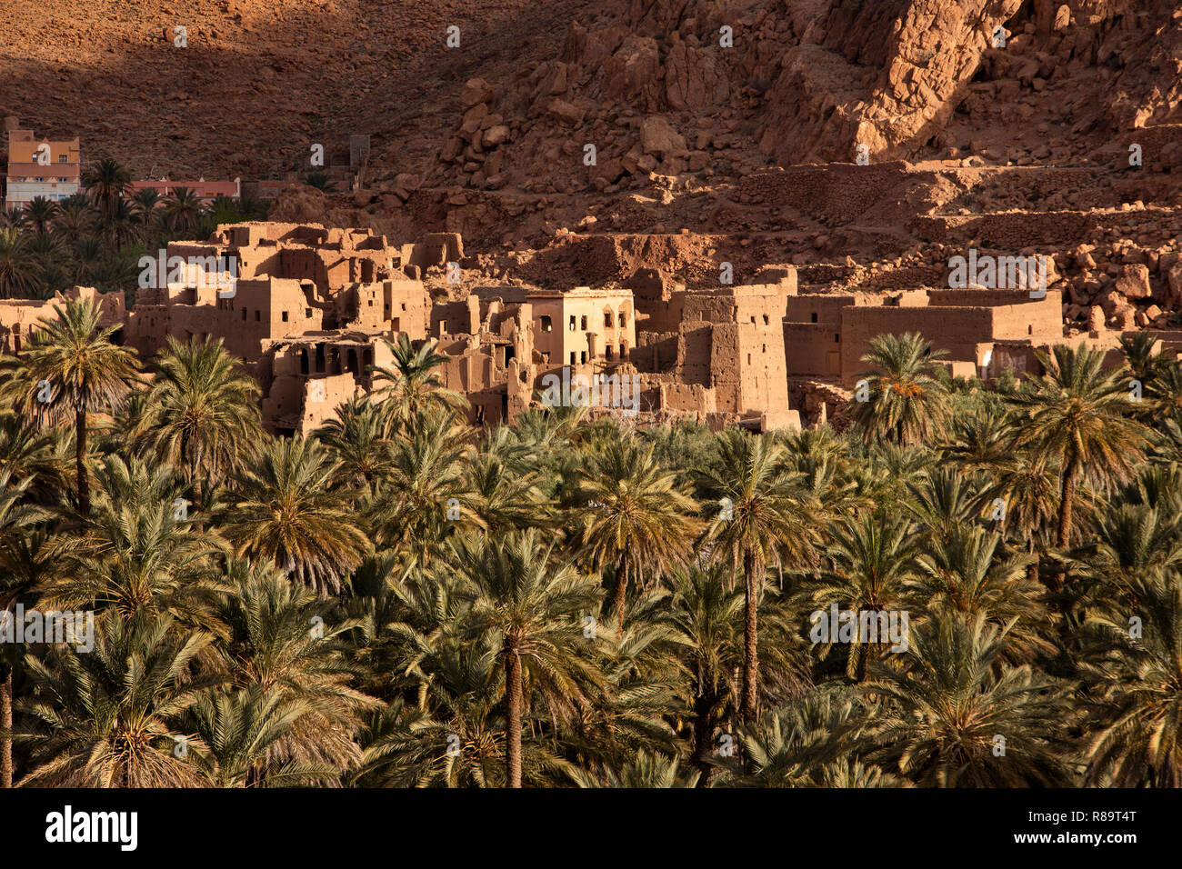 Morocco, Todra Gorge, Tinghir, Timadal, ruined houses of abandoned village above Palmerie Stock Photo