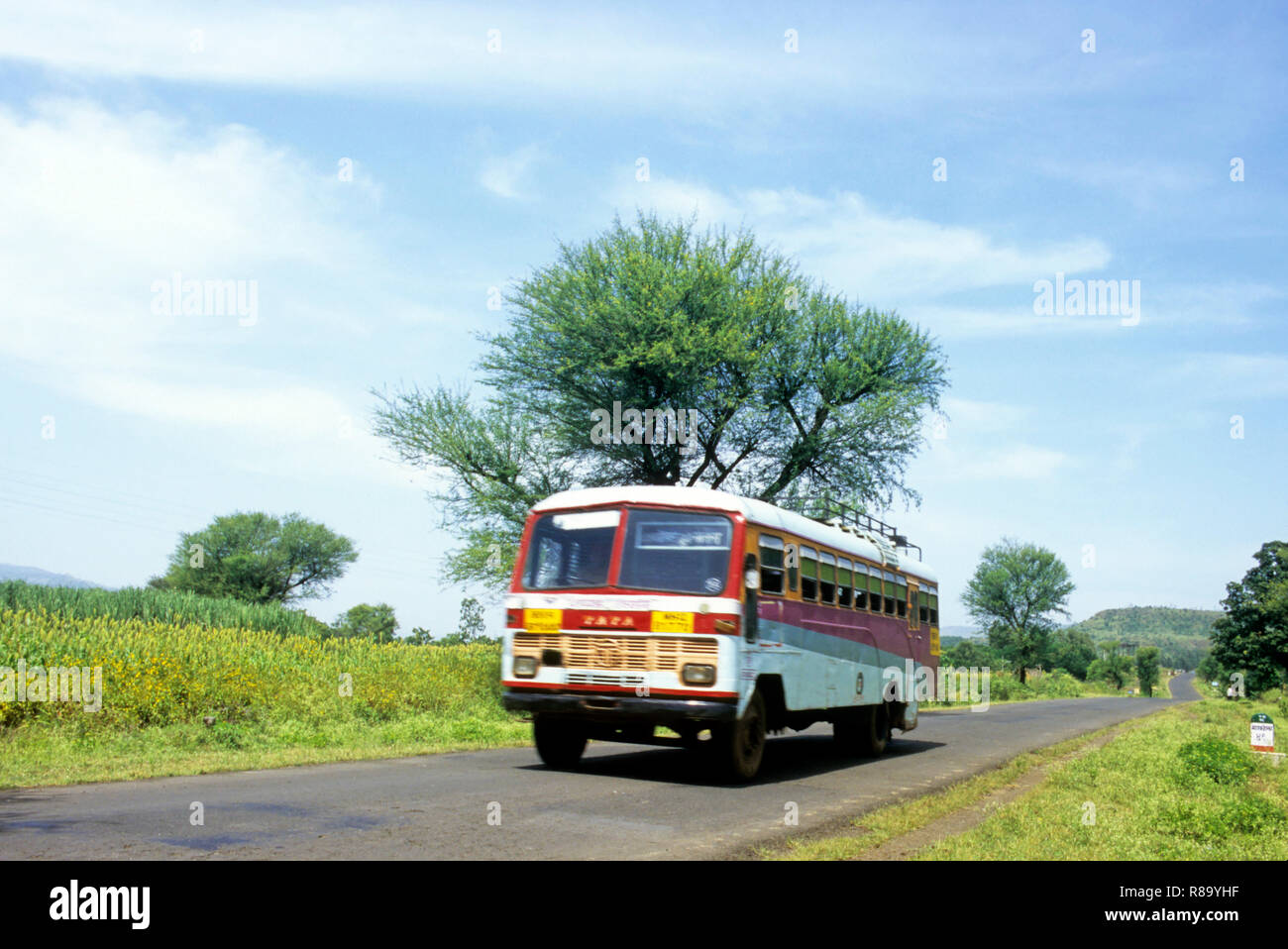 fast moving S.T. bus, satara, maharashtra, india Stock Photo
