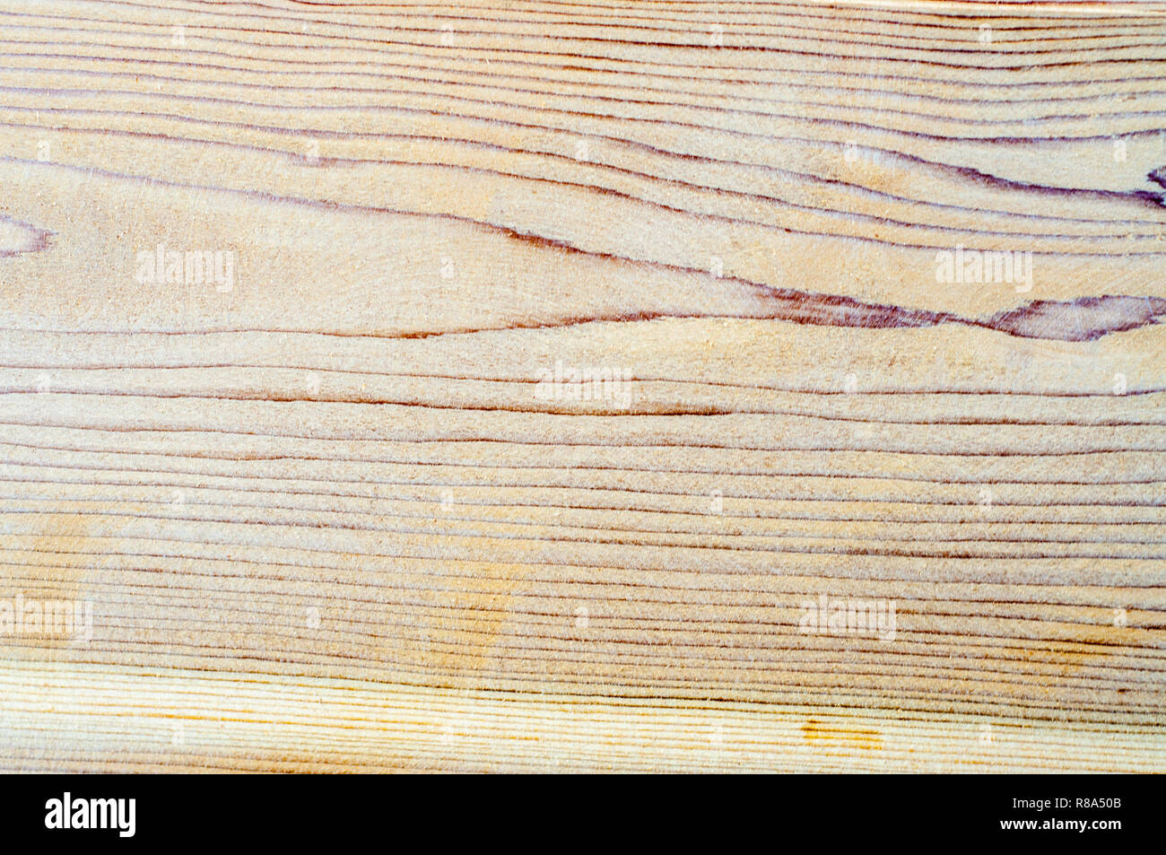 Texture of wood plank Stock Photo