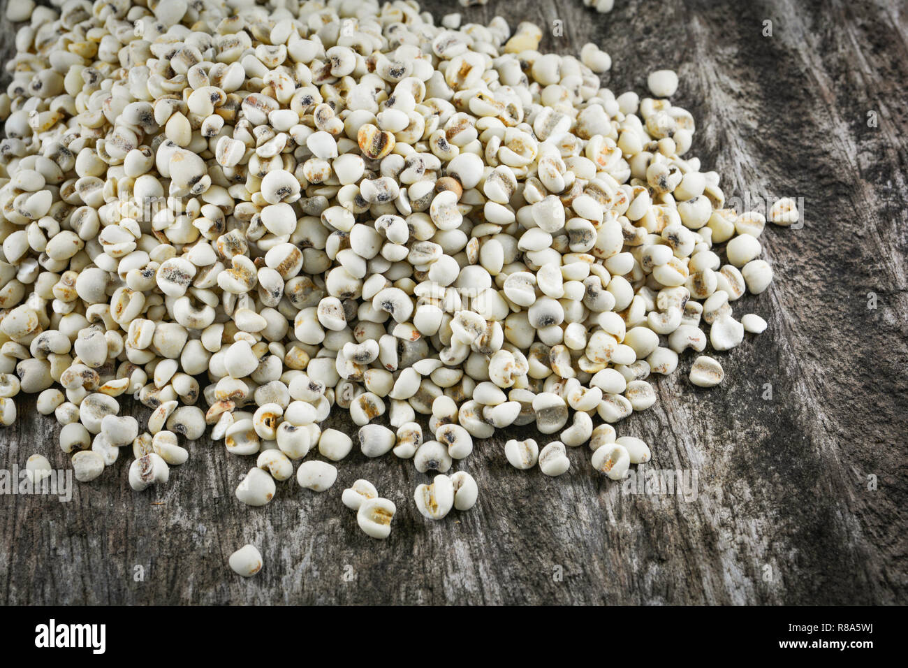 Job's tears coix lachryma jobi / Pile of  Job's tears grain seeds on old wood background Stock Photo