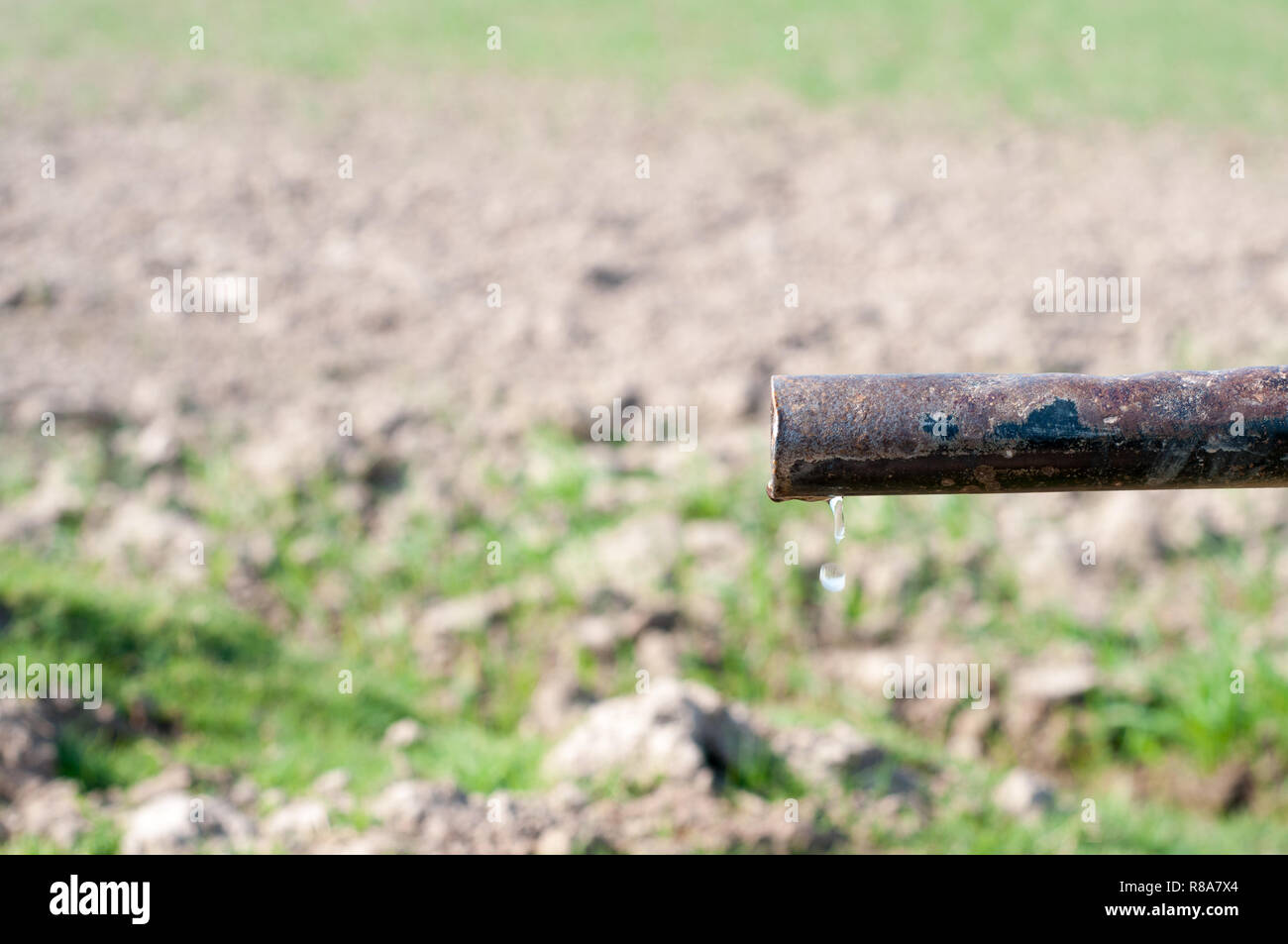 Save water save life Stock Photo