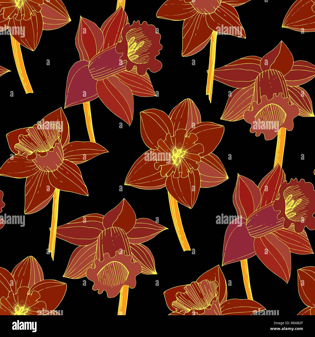 Vector Narcissus. Floral botanical flower. Red engraved ink art ...