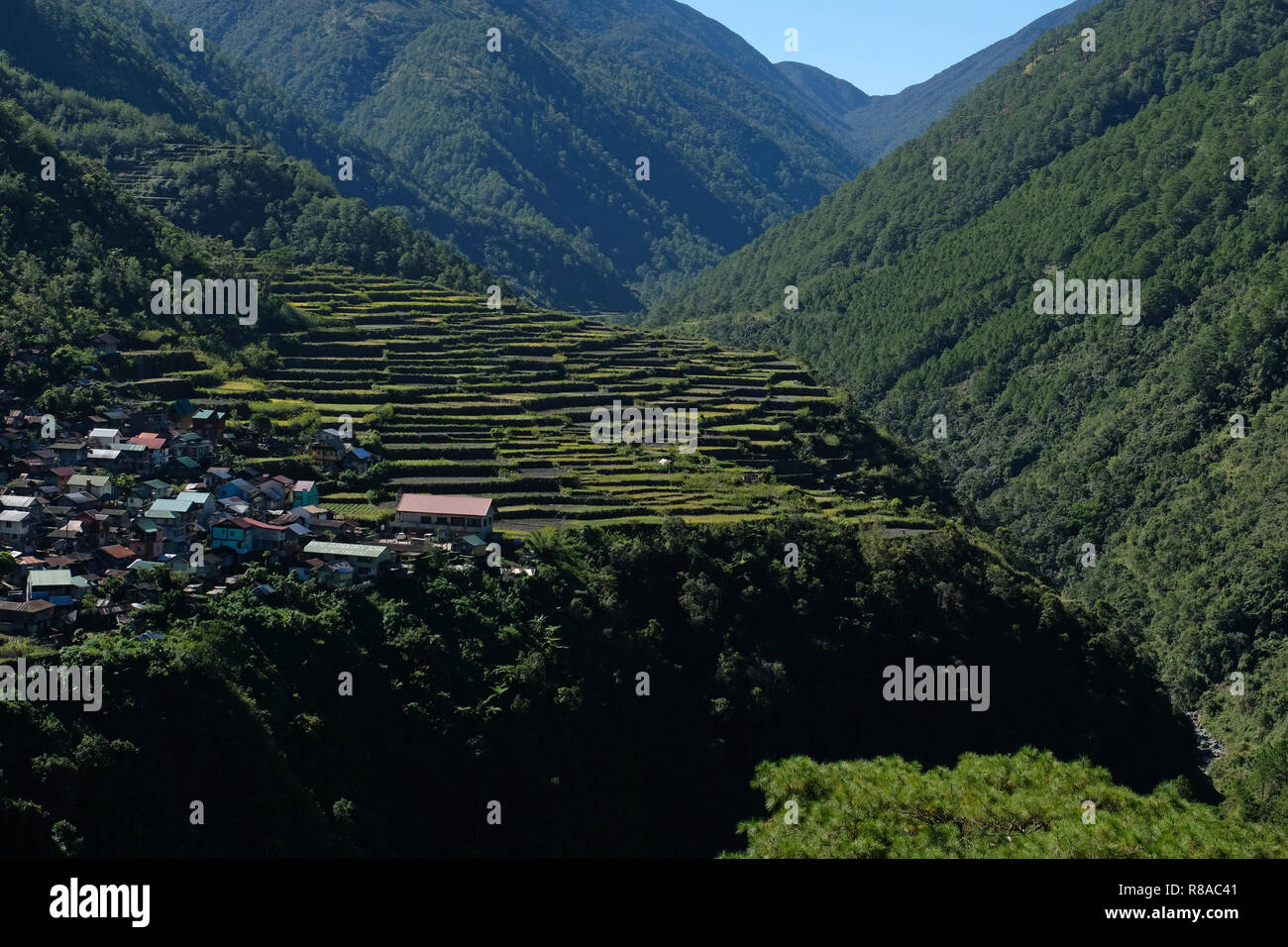 the Bayyo mountainside Village nestled within rice terraces clusters in ...