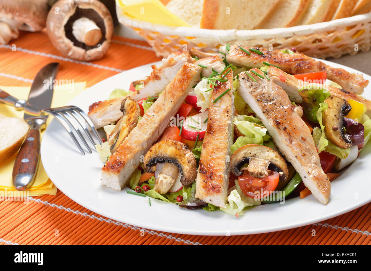 Grilled turkey and fried mushrooms on fresh salad Stock Photo