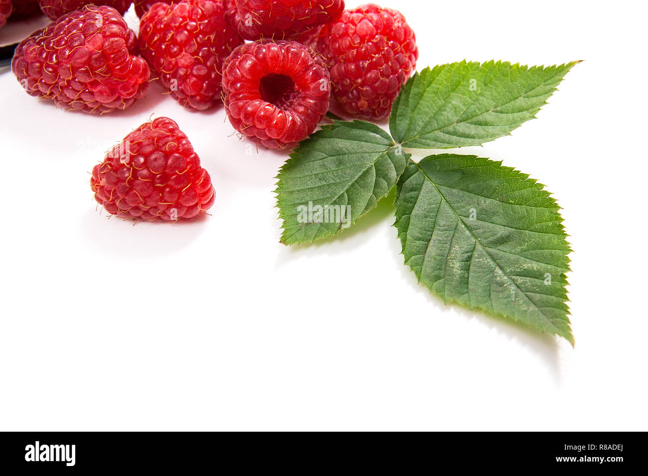 Close up view of white cup with fresh raspberries fruits and big green ...