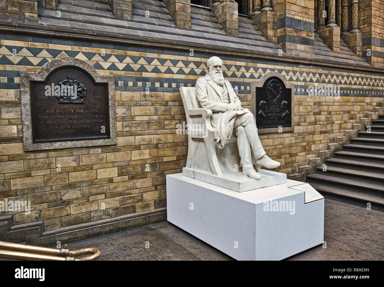 Life-size marble 1885 statue of Charles Darwin by Sir Joseph Boehm ...