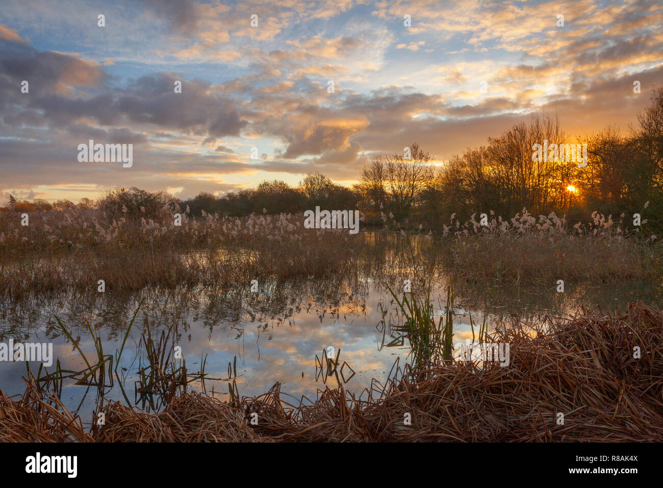Barton-upon-Humber, North Lincolnshire, UK. 14th December, 2018. UK Weather: A beautiful start to the day at a Lincolnshire Wildlife Trust Nature Reserve. Barton-upon-Humber, North Lincolnshire, UK. 14th December 2018. Credit: LEE BEEL/Alamy Live News Stock Photo