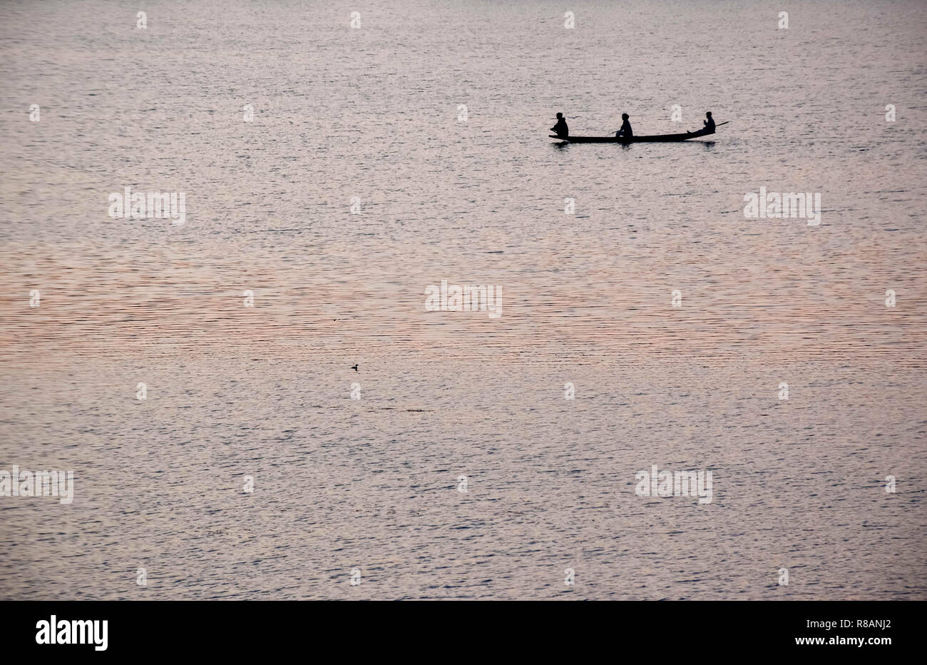 Boatman rowing on beautiful lake hi-res stock photography and images ...