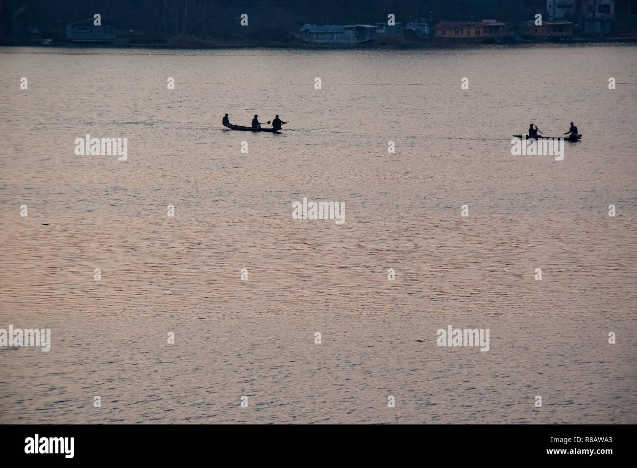 Silhouetted Kashmiri boatmen are seen rowing their boats during sunset ...