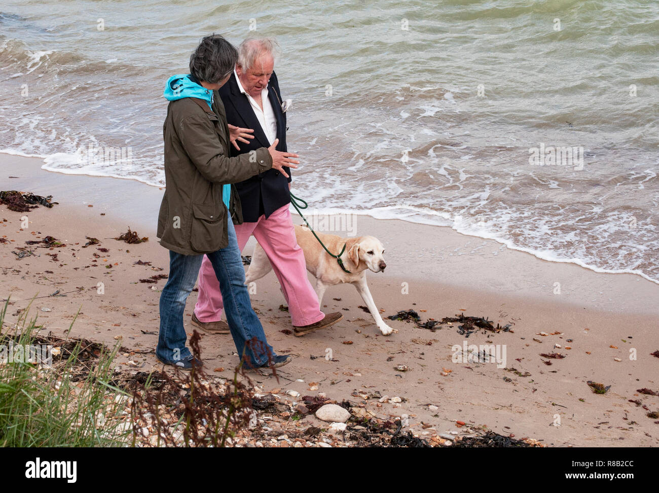 Mixed gender older couple having an animated conversation while walking a dog on the beach at Fort Victoria, Isle of Wight, UK Stock Photo
