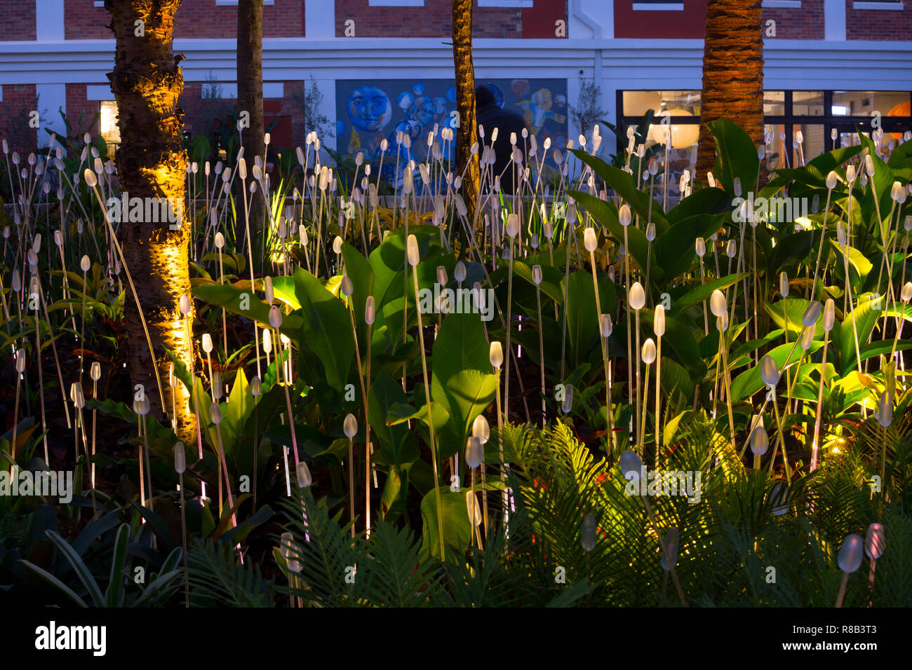 A public garden in West Village, West End, Brisbane, Queensland, Australia Stock Photo