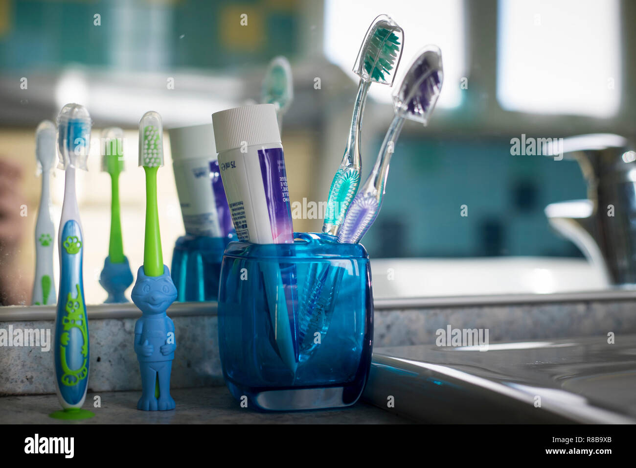 Family toothbrushes in bathroom, with two normal ones and an animal ...
