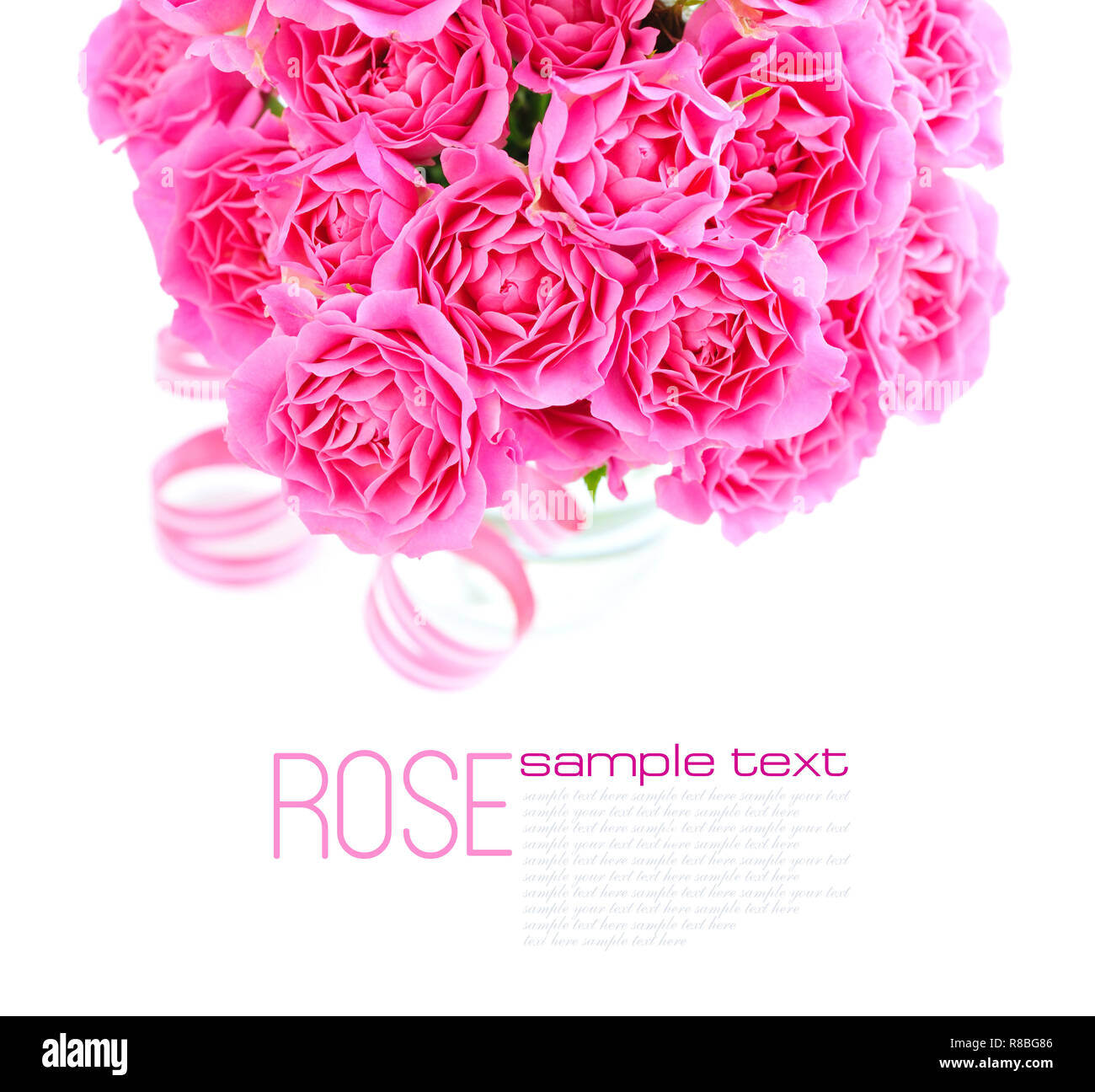 Bouquet of pink roses on white background Stock Photo - Alamy