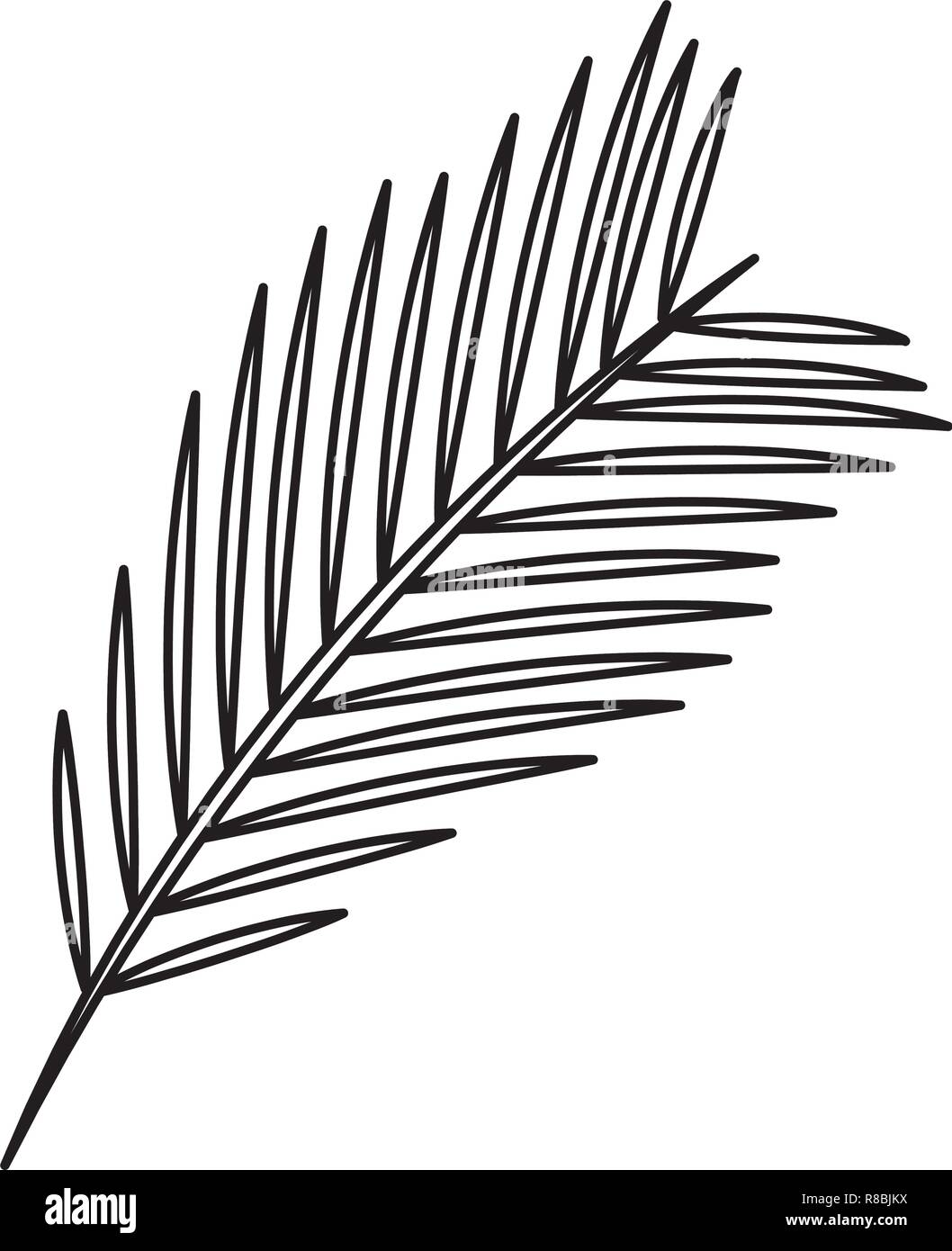 palm leaf icon Stock Vector Image & Art - Alamy
