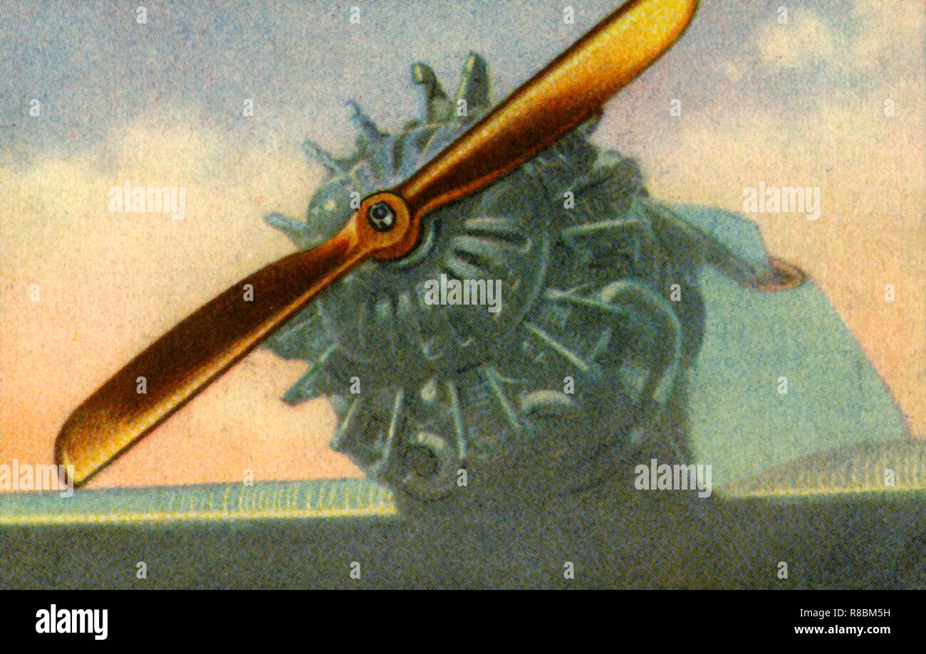 Wooden aircraft propeller made by the Schwarz PropellerWerk company