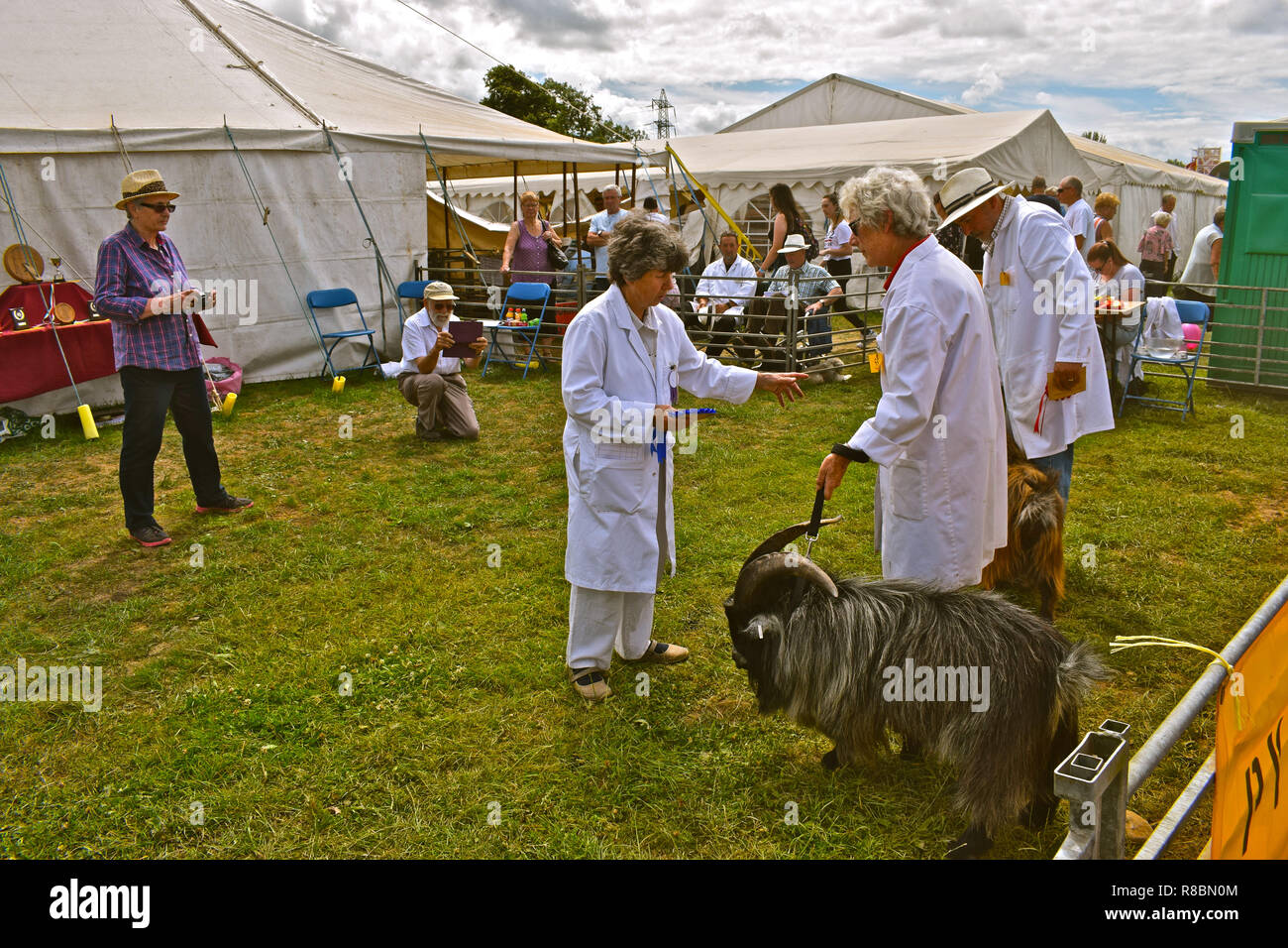 Judging nears completion in the specialist sheep section at Bridgend Show in the summer,with display tents behind.Held at Pencoed Agricultural College Stock Photo