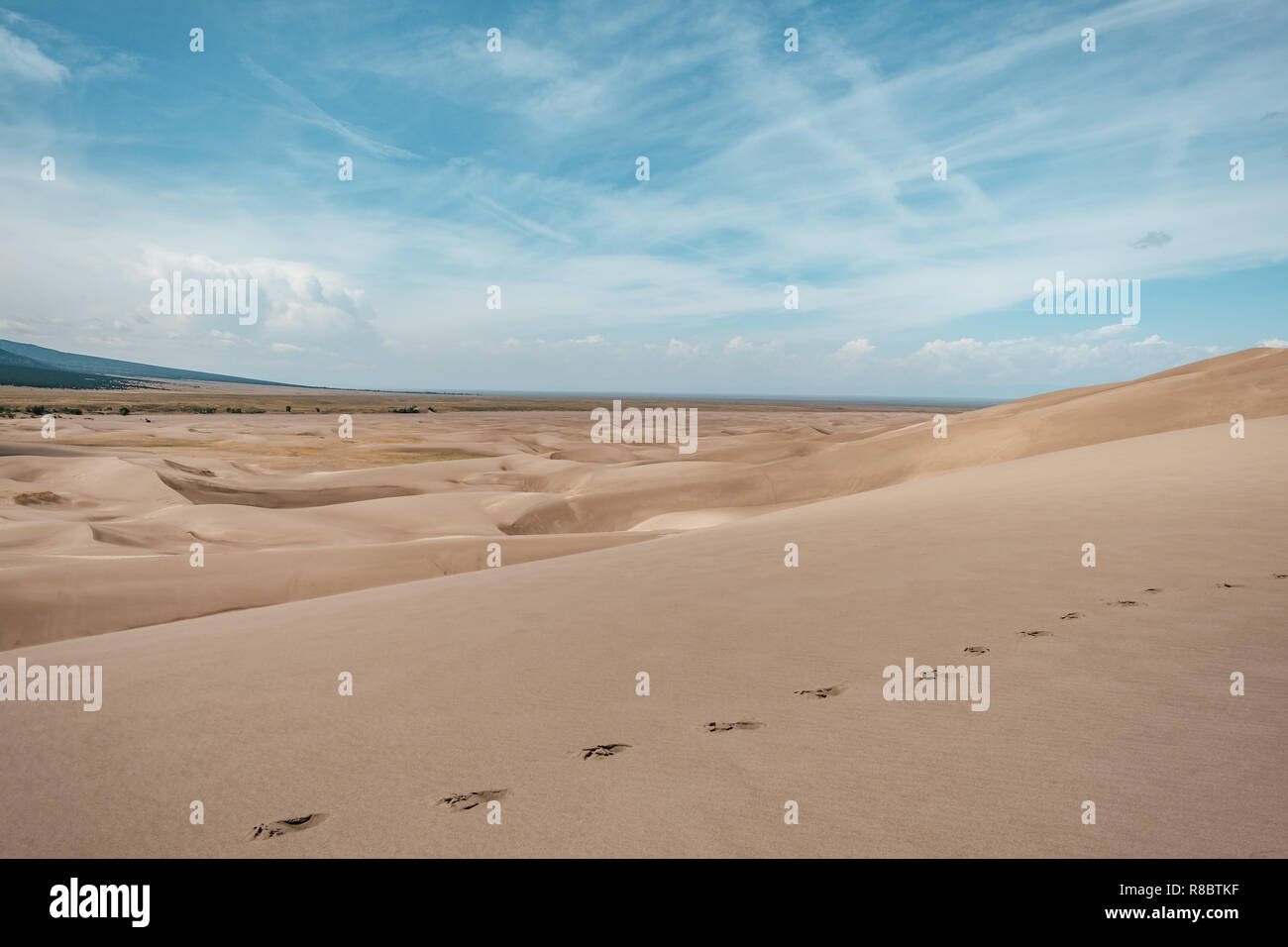 Footprints In The Desert Sand Dunes Of Great Sand Dunes National Park In Colorado Usa Stock Photo Alamy Footprints In The Desert Sand Dunes Of Great Sand Dunes National Park In Colorado Usa Stock Photo Alamy