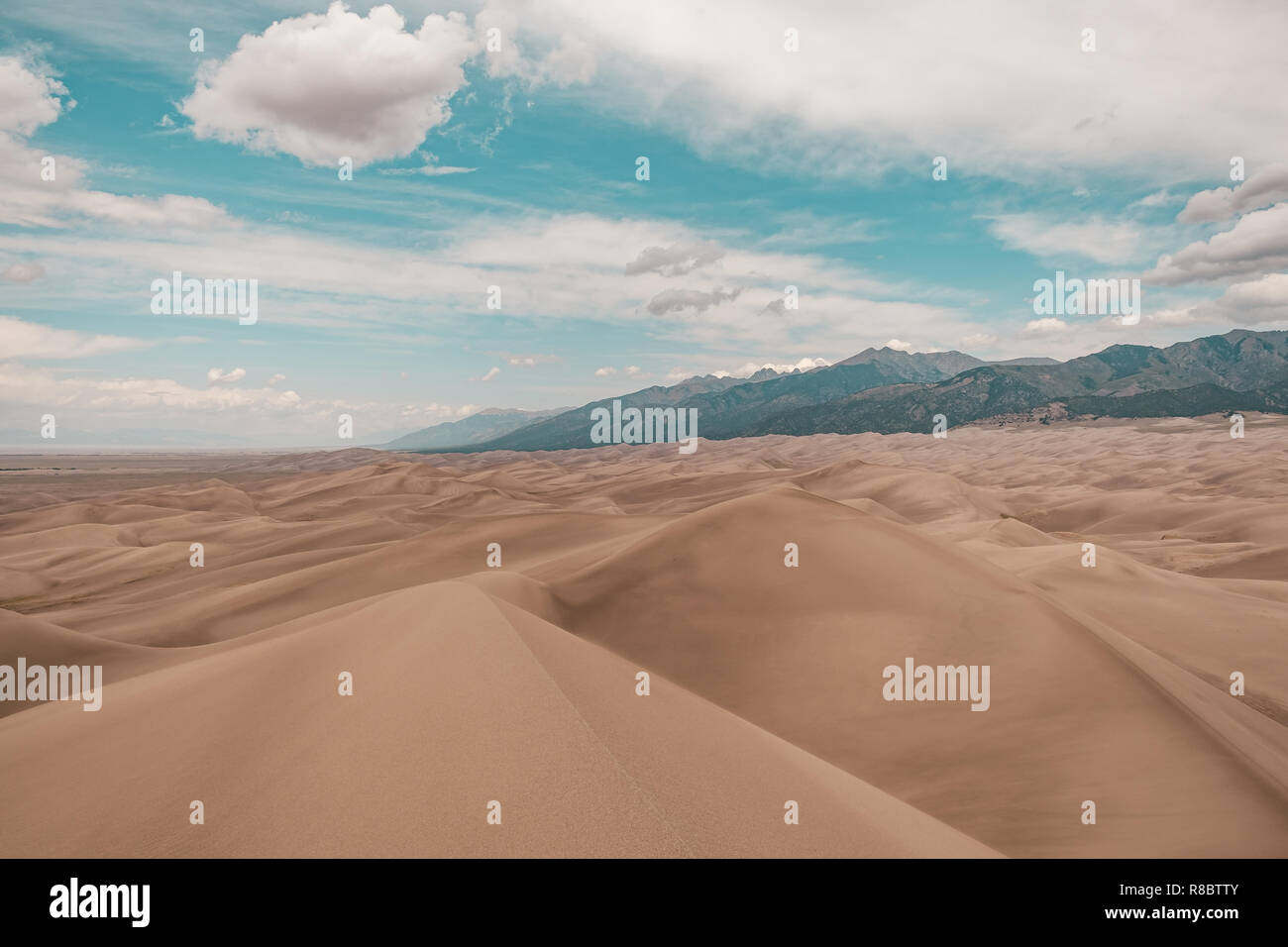 A View Of Giant Desert Sand Dunes From Star Dune The Tallest Dune In Great Sand Dunes National Park In Colorado Usa Stock Photo Alamy A View Of Giant Desert Sand Dunes From Star Dune The Tallest Dune In Great Sand Dunes National Park In Colorado Usa Stock Photo Alamy