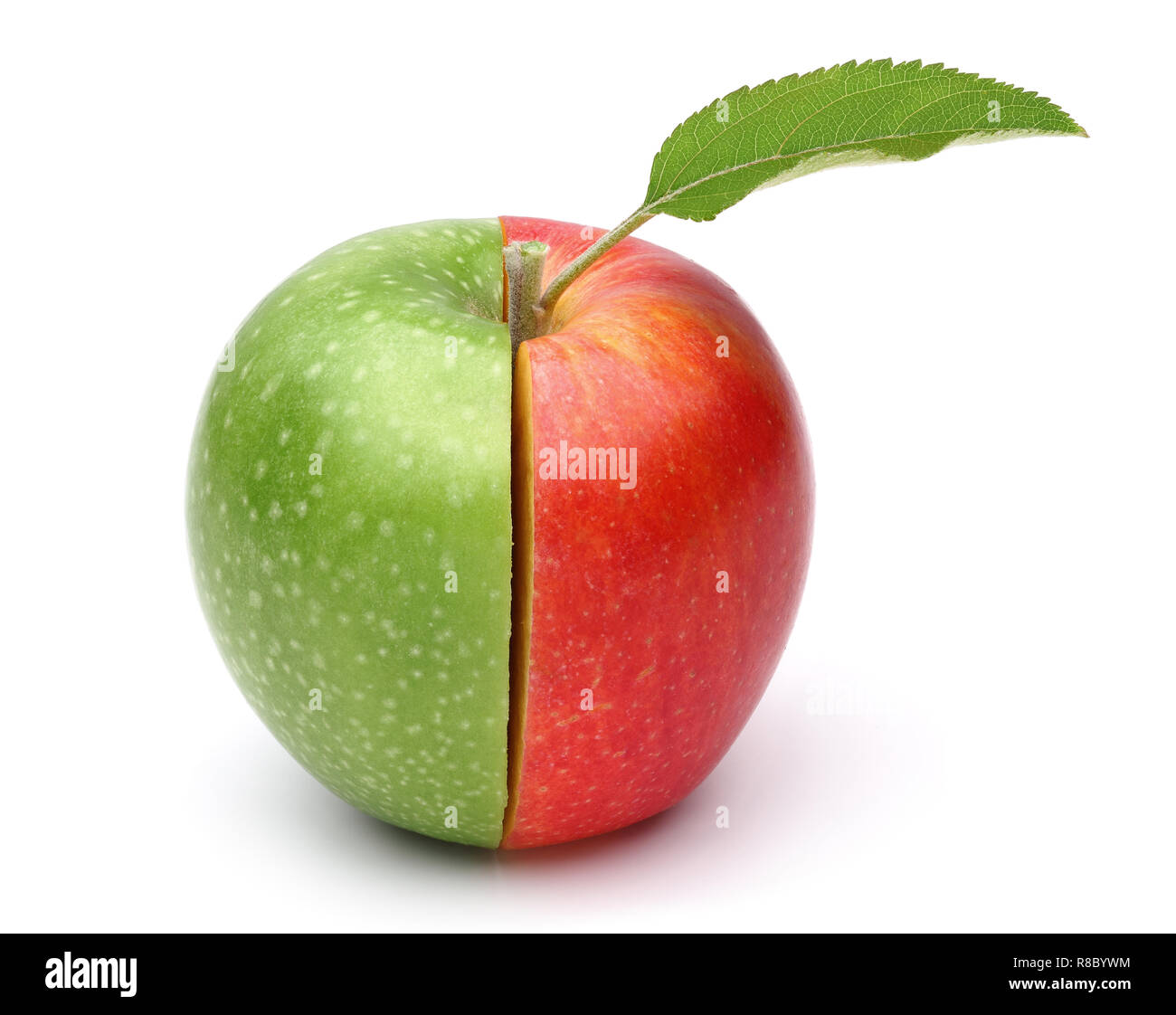 Half red half green isolated on white background. Studio shot Stock