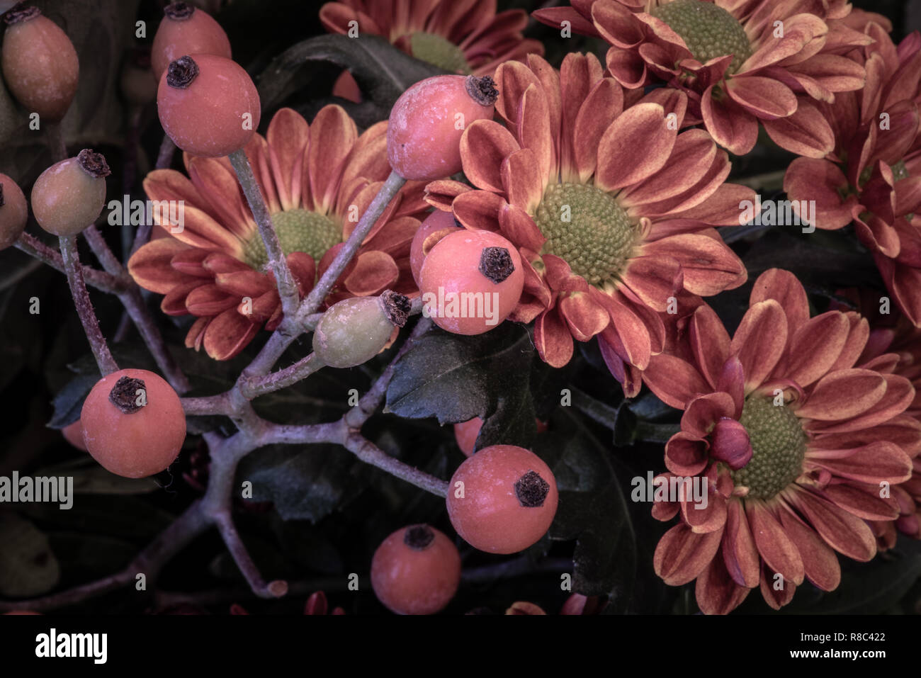 Fine Art Still Life Pastel Color Macro Image Of A Flower Bouquet