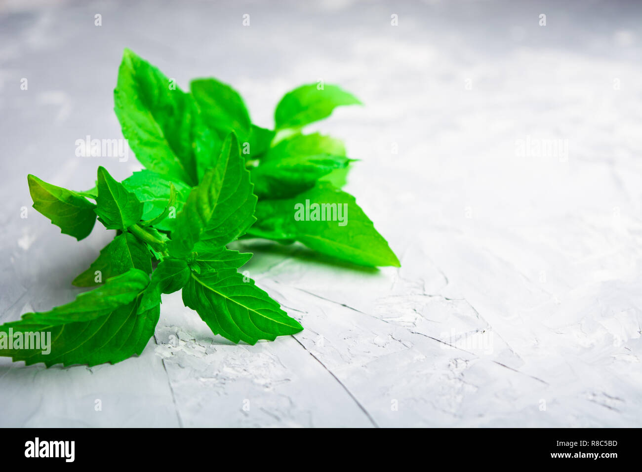 Closeup view of green italian basil over rude background Stock Photo