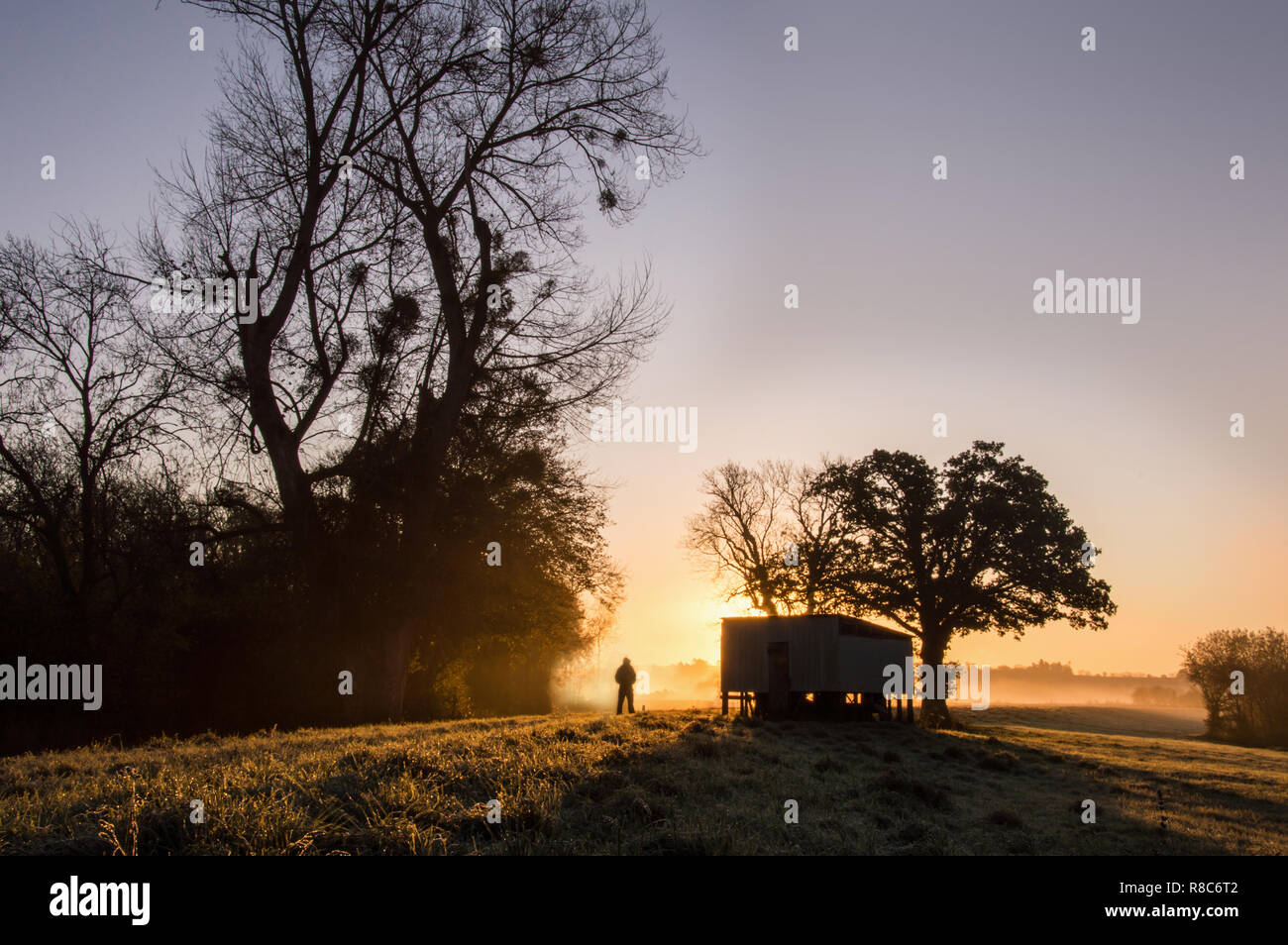 A lone man silhouetted against the sunrise on a beautiful misty winters day in the English countryside. Stock Photo