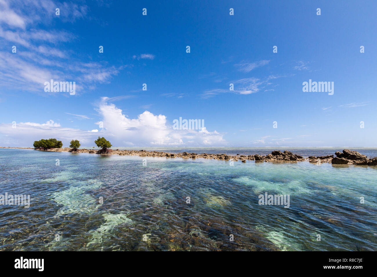 Azure turquoise blue lagoon with corals, a small uninhabited reef island full of dangerous rocks and mangroves. Pohnpei Island, Micronesia, Oceania. Stock Photo